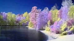 Nature water summer forests