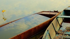 Nature water summer old Boats