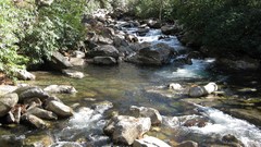 Nature water Tennessee rivers