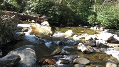 Nature water Tennessee rivers