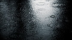 Nature water water drops