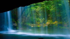 Nature water waterfalls forests