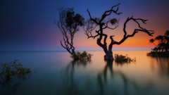 Nature water waterscapes