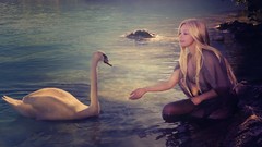Nature water woman Swans blondes models wet clothing