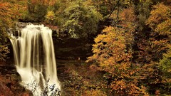 nature waterfall water fall Trees Plants outdoors