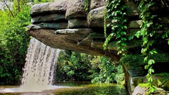 nature waterfall water rock outdoors Plants leaves