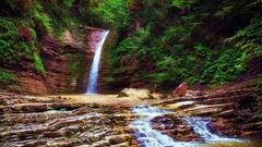 nature waterfall water rock river outdoors Plants