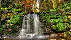 nature waterfall water stones fall Trees Plants outdoors