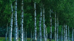 Nature waterfalls deserts