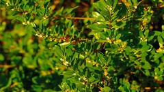 Nature waterfalls deserts