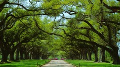 Nature waterfalls deserts