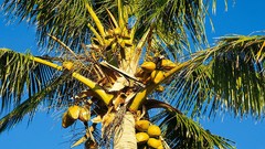 Nature waterfalls deserts