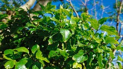 Nature waterfalls deserts