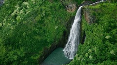 Nature waterfalls forests