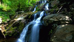 Nature waterfalls forests