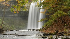 Nature waterfalls forests