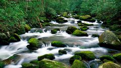 Nature waterfalls waterfall