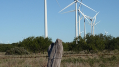 Nature windmills