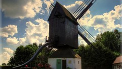 Nature windmills Wood virtual skyscapes