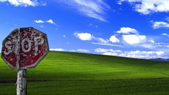 Nature windows xp microsoft windows