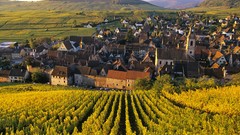 Nature wine France Villages