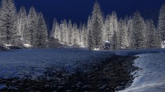 Nature winter 3d forests