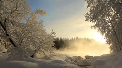 Nature winter