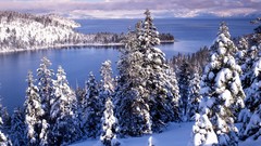Nature winter California Lake Tahoe