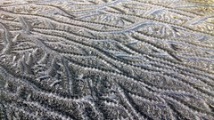 Nature winter close-up frost colors