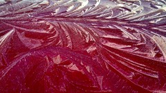 Nature winter close-up frost colors