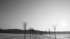 Nature winter empty nowhere