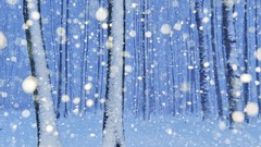 Nature winter germany forests beech