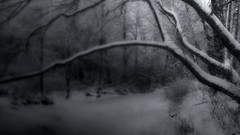 Nature winter HDR Photography