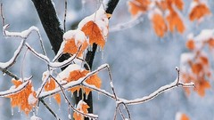 Nature winter HDR Photography