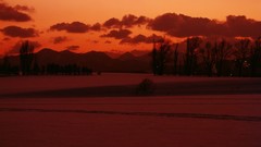 Nature winter Hokkaido
