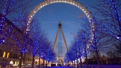 Nature winter lights London London Eye