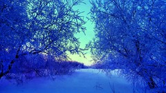 Nature winter Photo manipulation