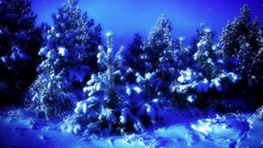 Nature winter Photo manipulation