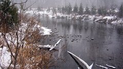 Nature winter rivers