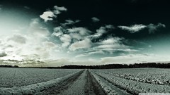 Nature winter seasons dark