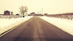 Nature winter sepia roads Villages