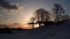 Nature winter snow Earth