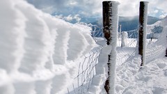 Nature winter snow fences