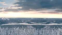 Nature winter snow forest