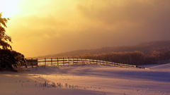Nature winter snow landscapes