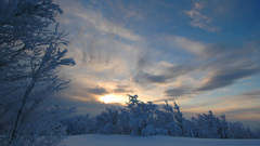 Nature winter snow snow