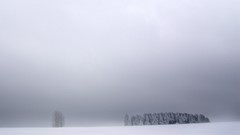 Nature winter snow white