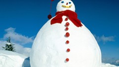 Nature winter Snowmen