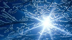 Nature winter spring