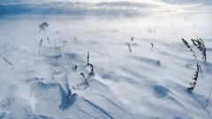 Nature winter storm national geographic new jersey